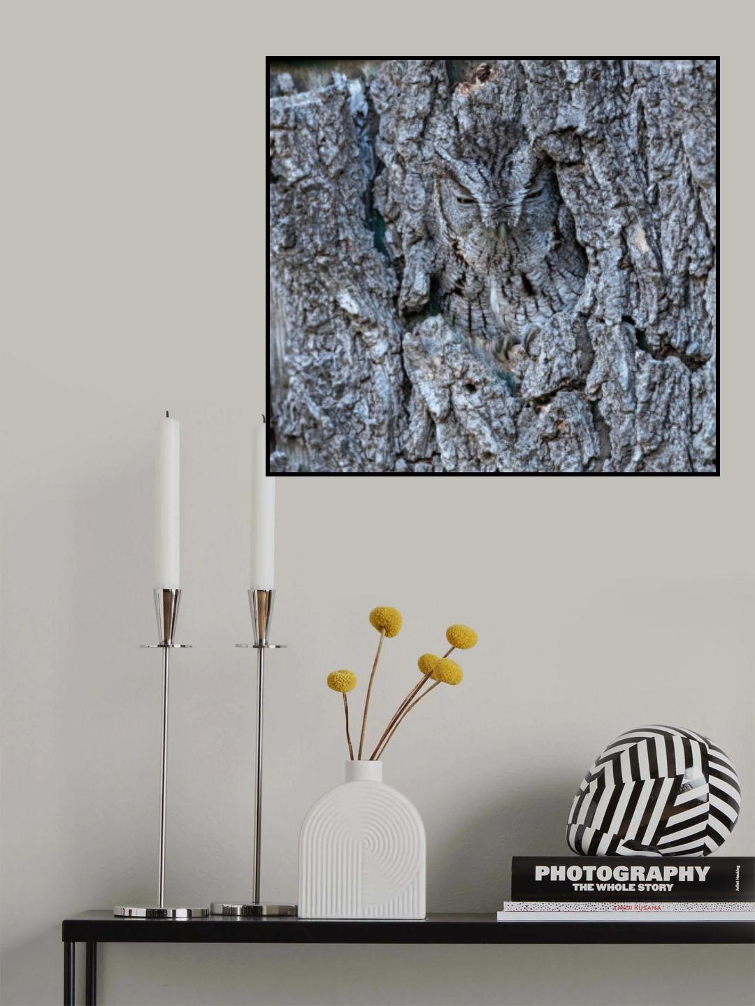 Find me. Poster och Canvastavla