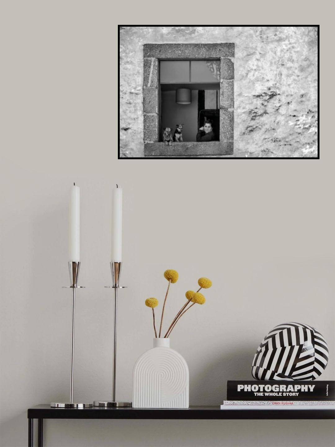 The window. Poster och Canvastavla