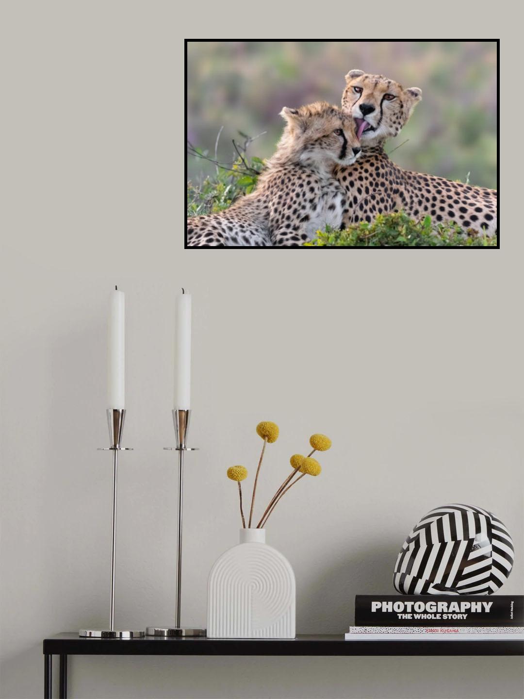 Motherly love Poster och Canvastavla