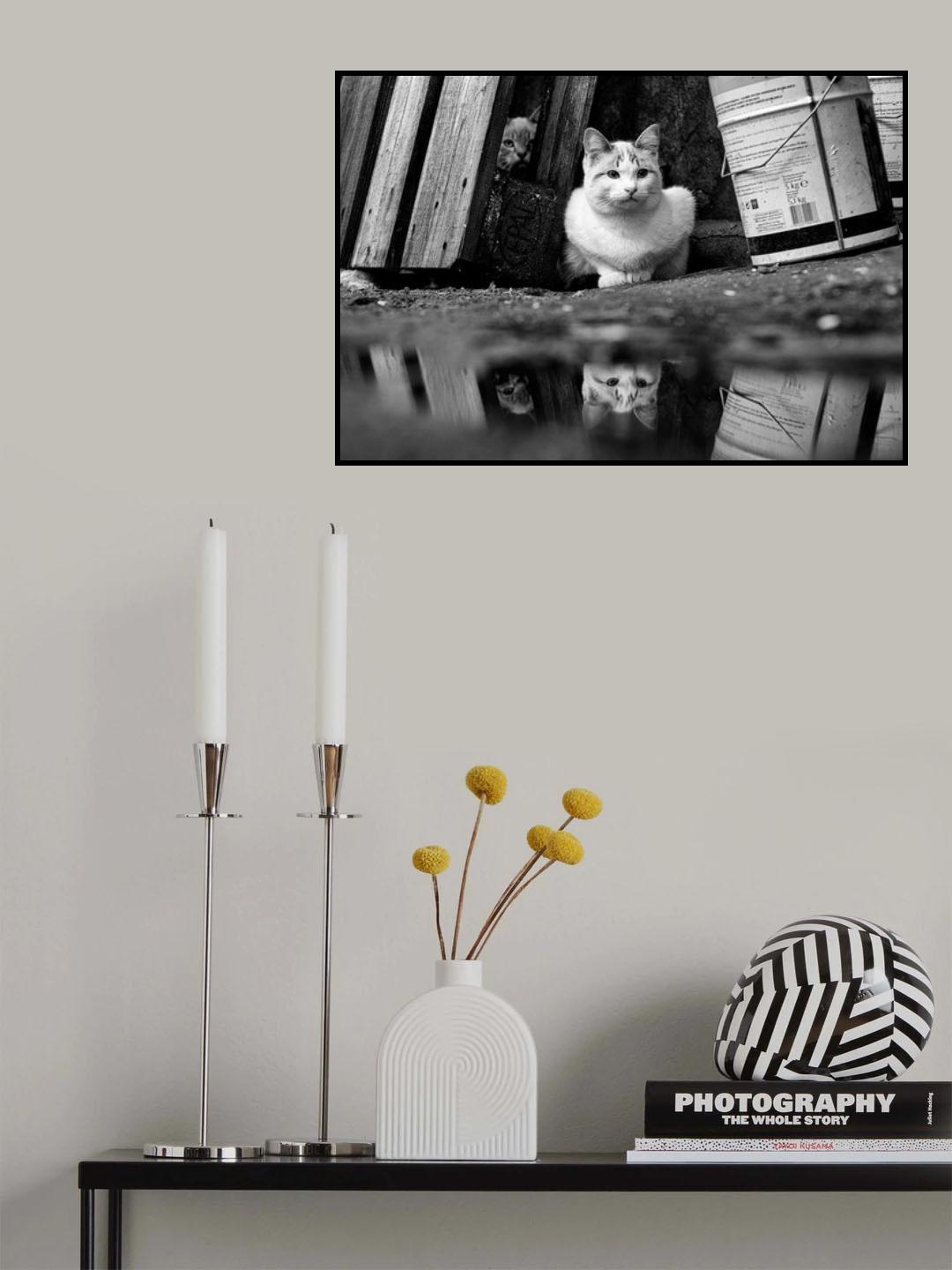 Poster och Canvastavla
