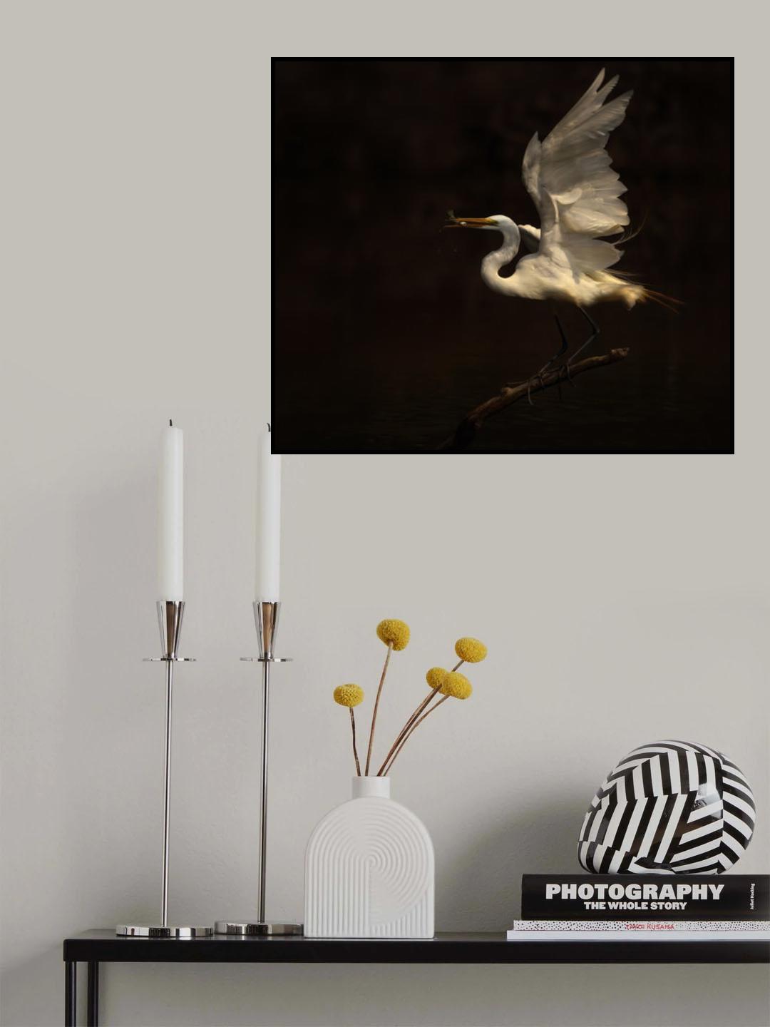 Balancing Act Poster och Canvastavla