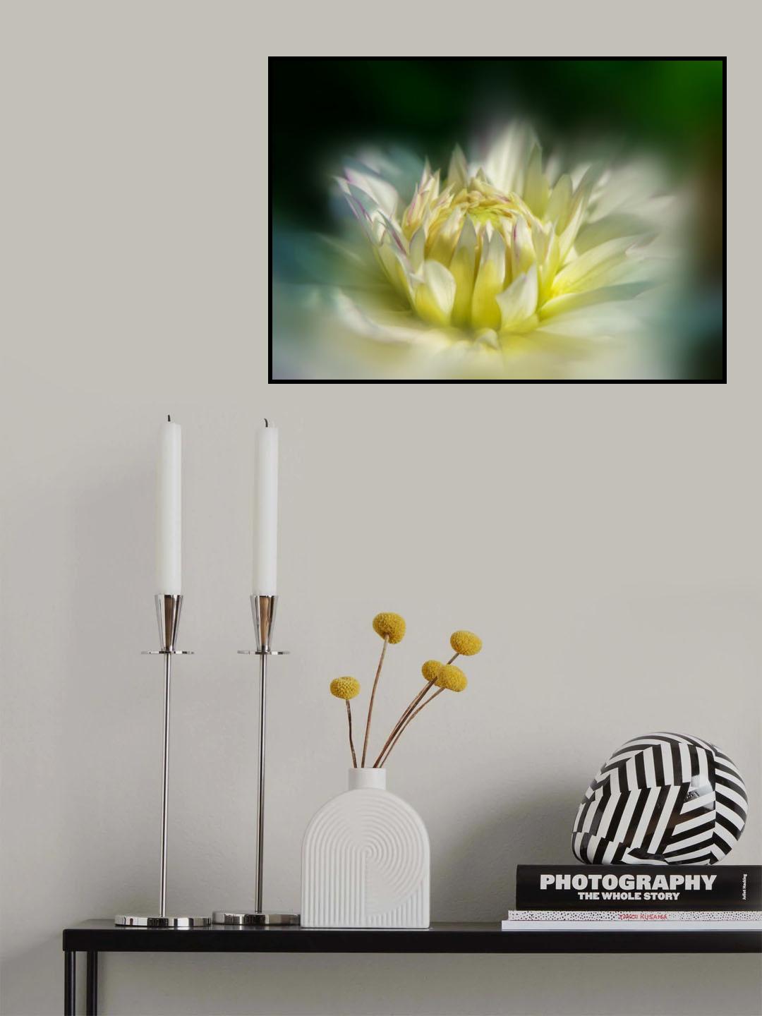 Dalia Poster och Canvastavla
