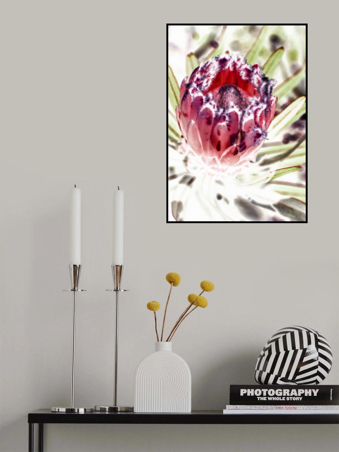 Wild Protea Poster och Canvastavla