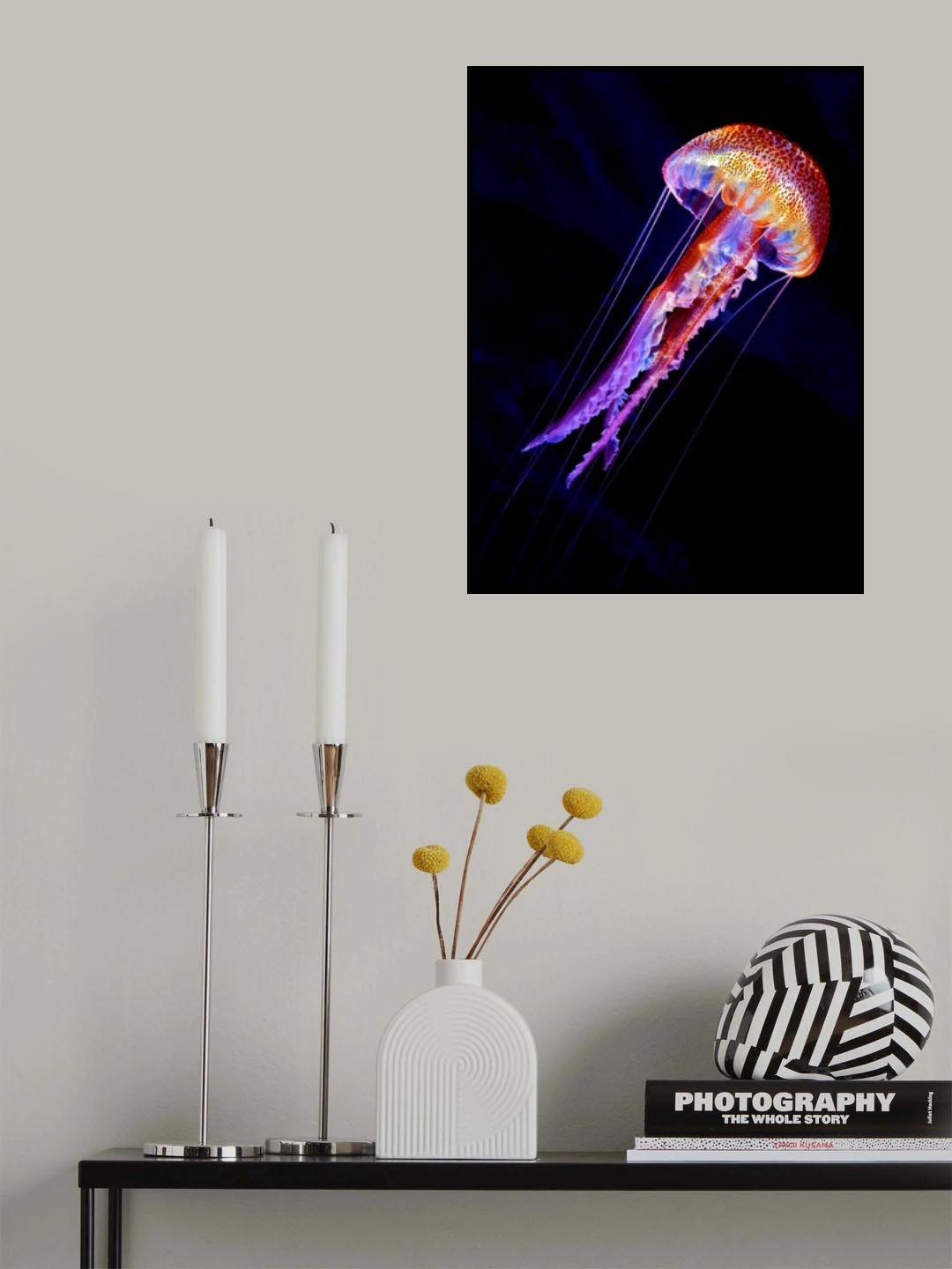 Jellyen Poster och Canvastavla