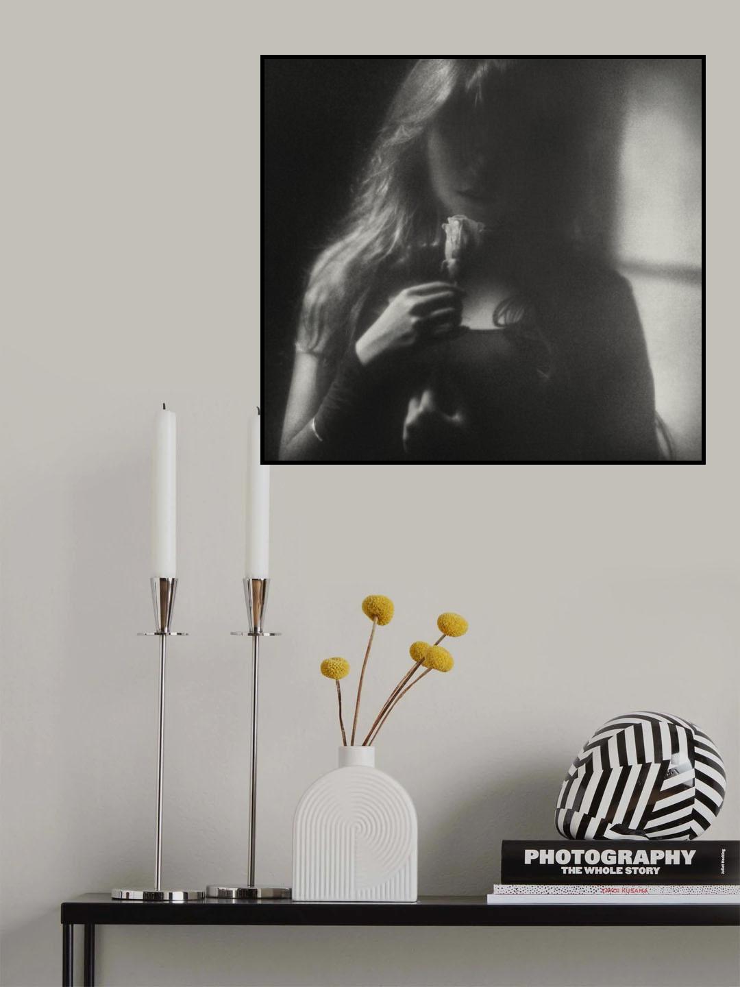 Little light for the little rose Poster och Canvastavla