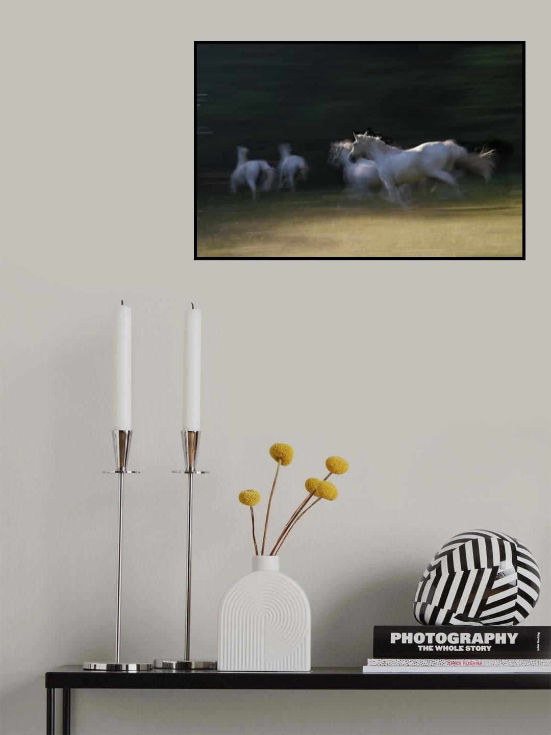 gallop through a shadow Poster och Canvastavla