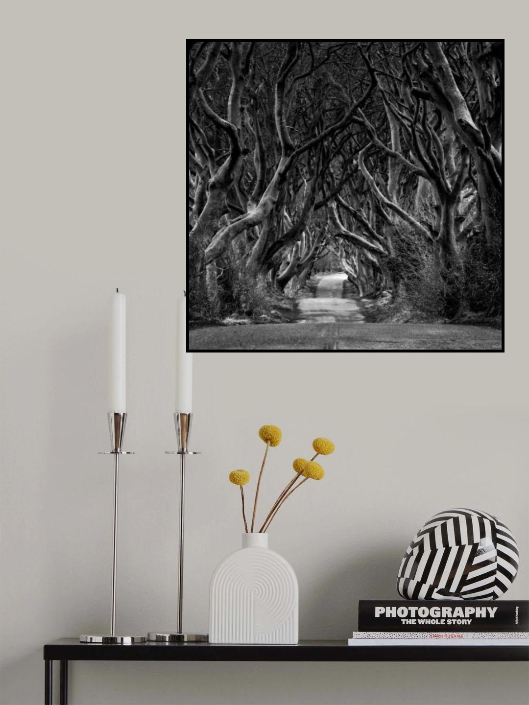 Black and white photo of Road through the Dark Hedges Poster och Canvastavla
