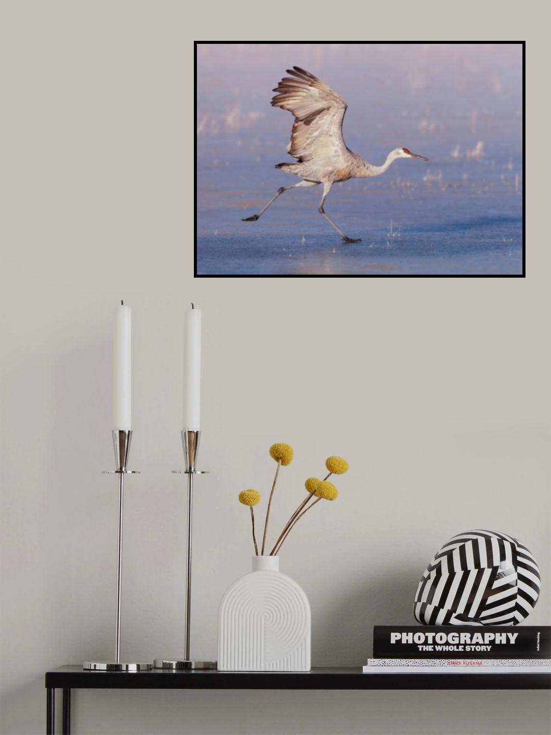On Frozen Ice Poster och Canvastavla