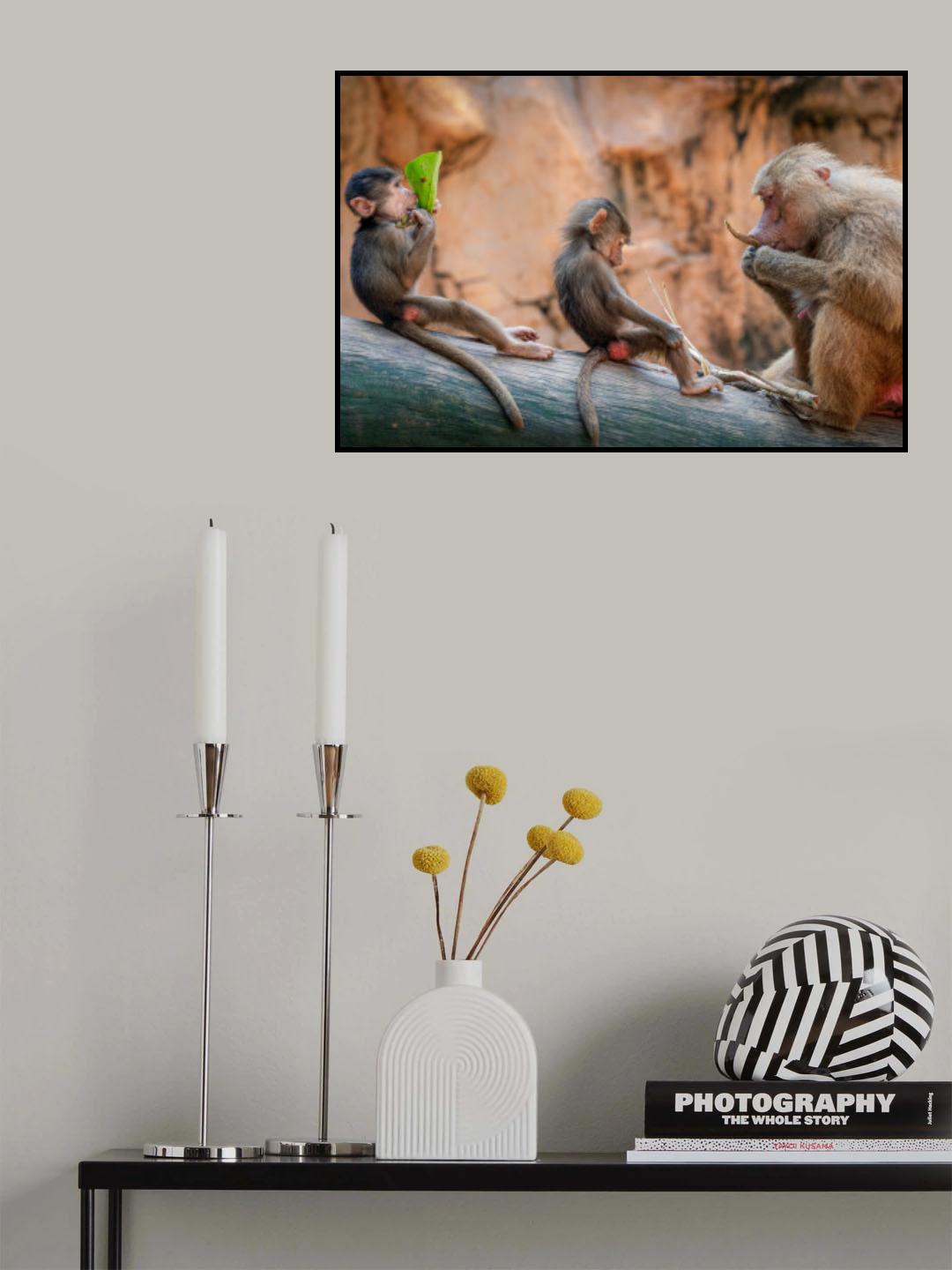 Lesson in the Wild Poster och Canvastavla