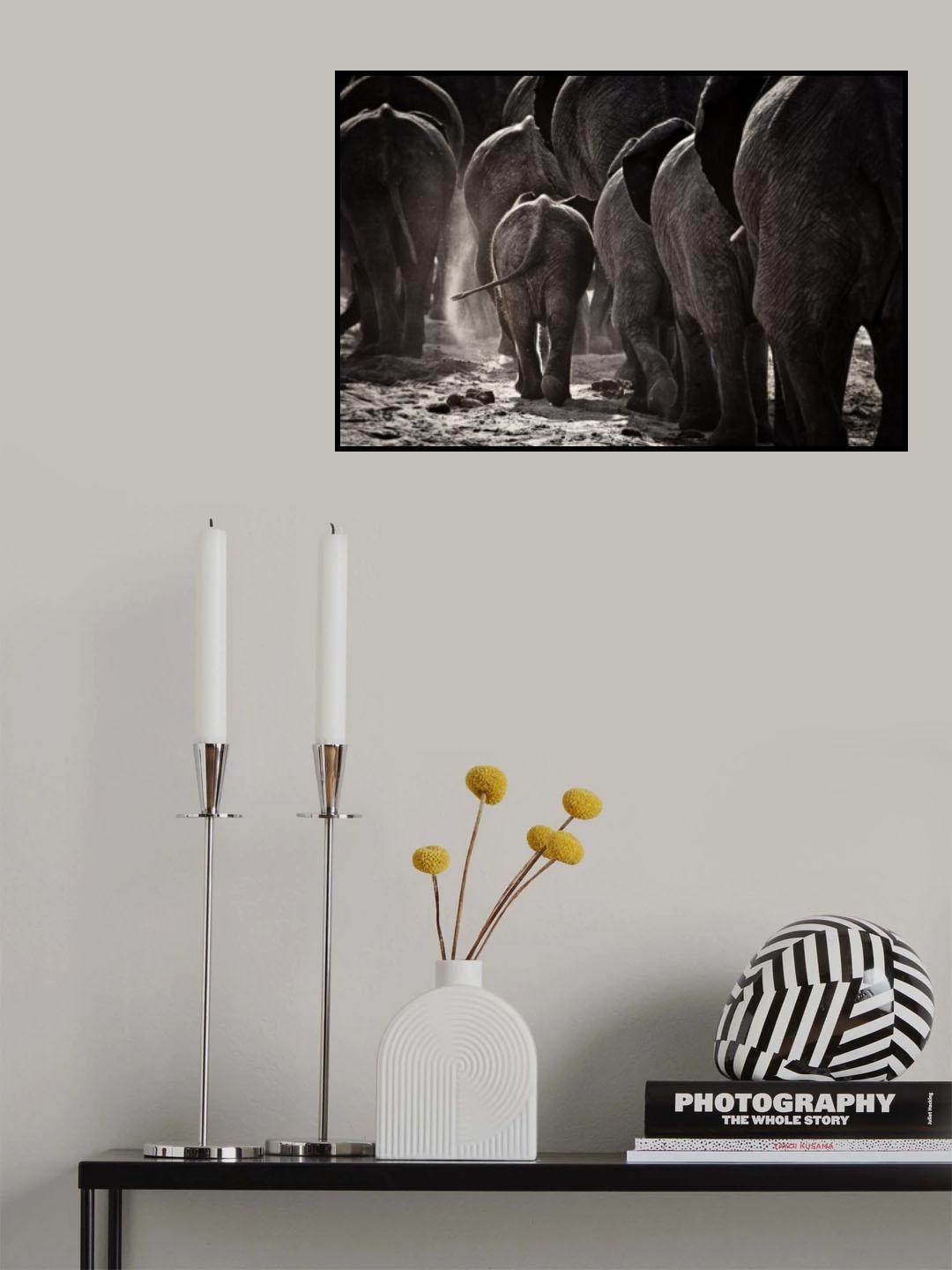 Walking Home Poster och Canvastavla
