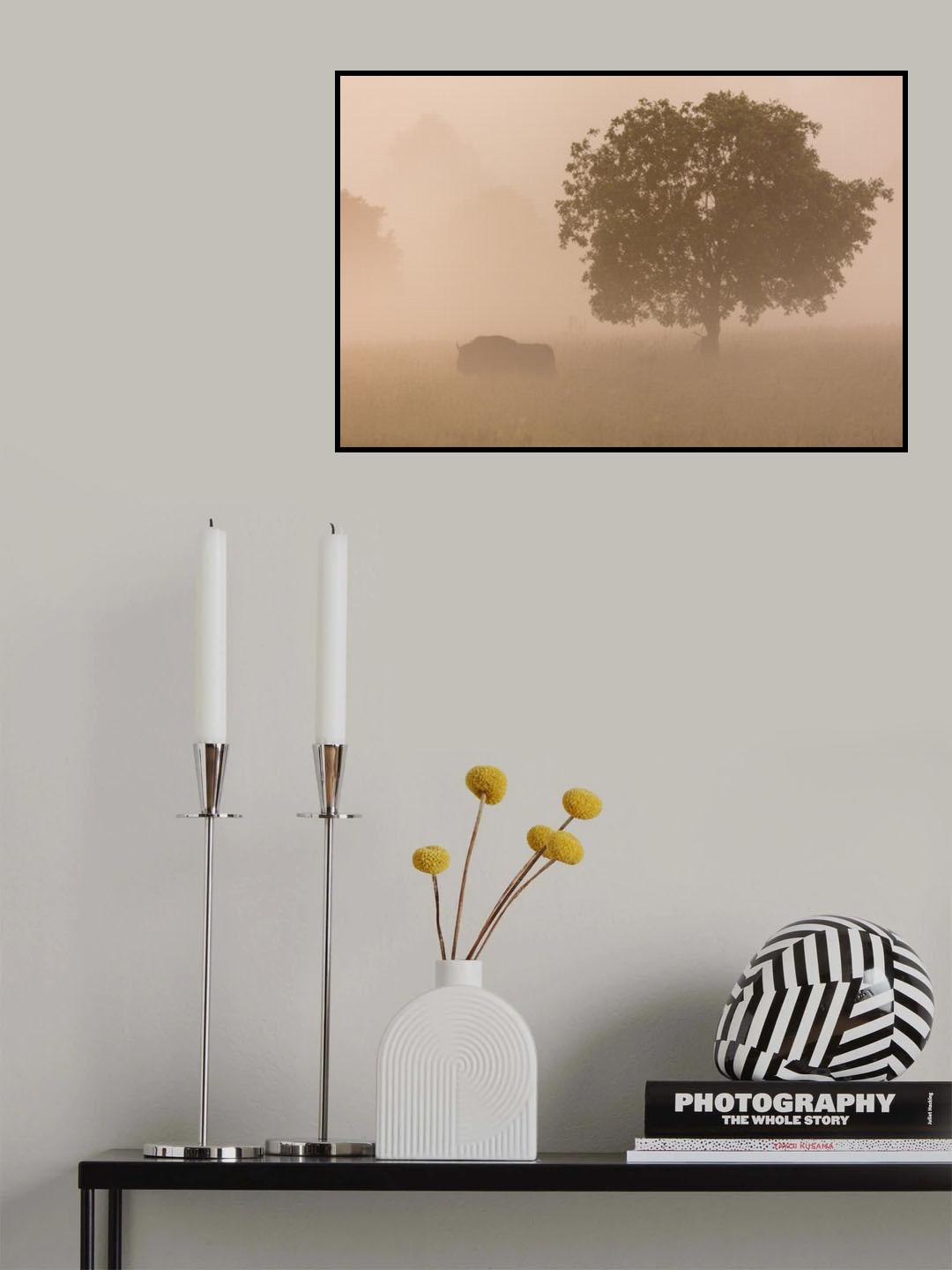 European bison Poster och Canvastavla