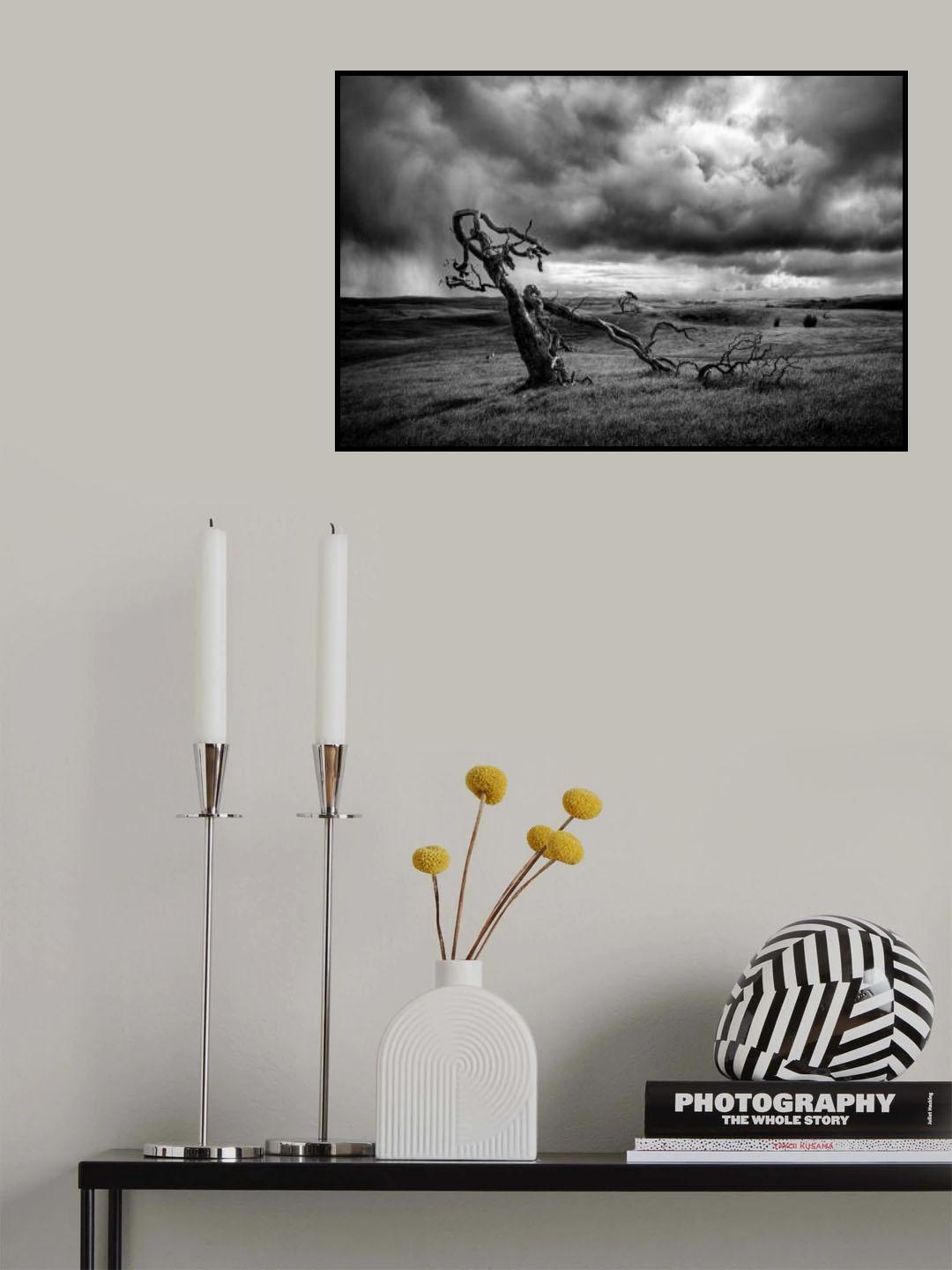 The Moonah Tree Poster och Canvastavla