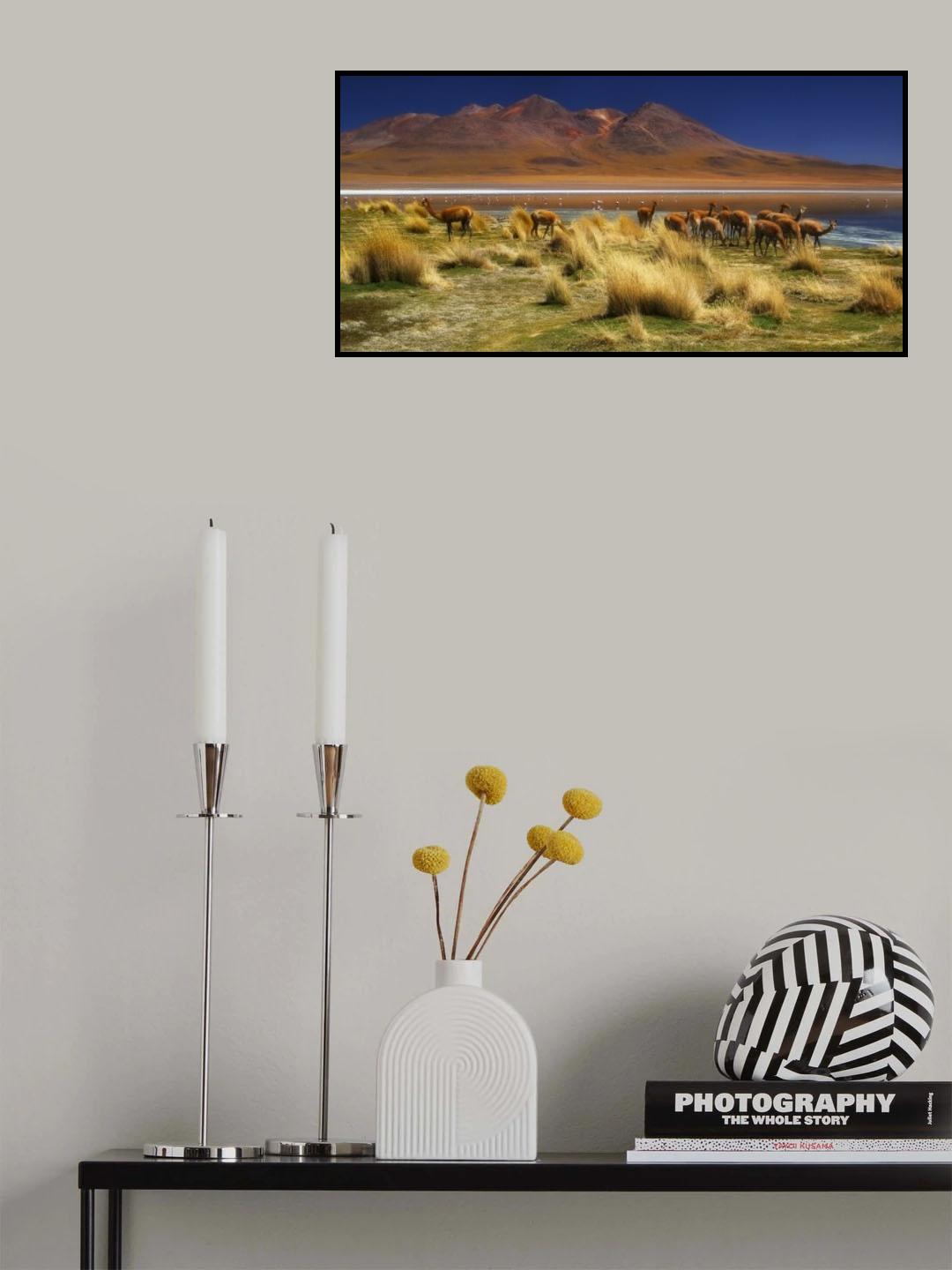 The Timid Gold of the Ands Poster och Canvastavla
