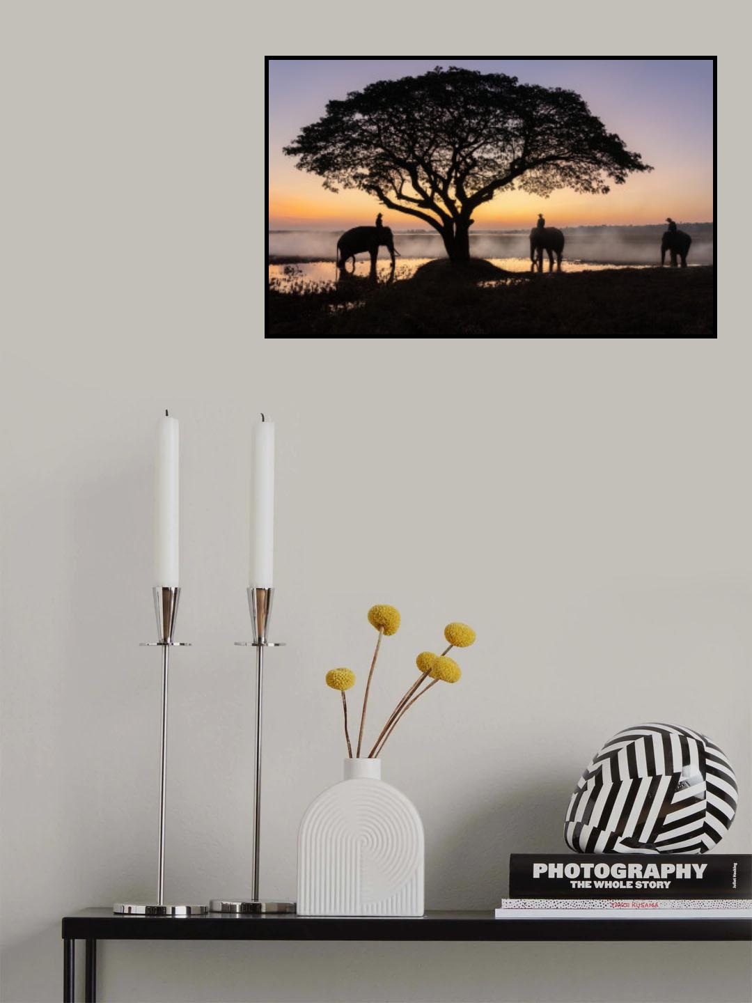 Elephants of Surin, Thailand Poster och Canvastavla