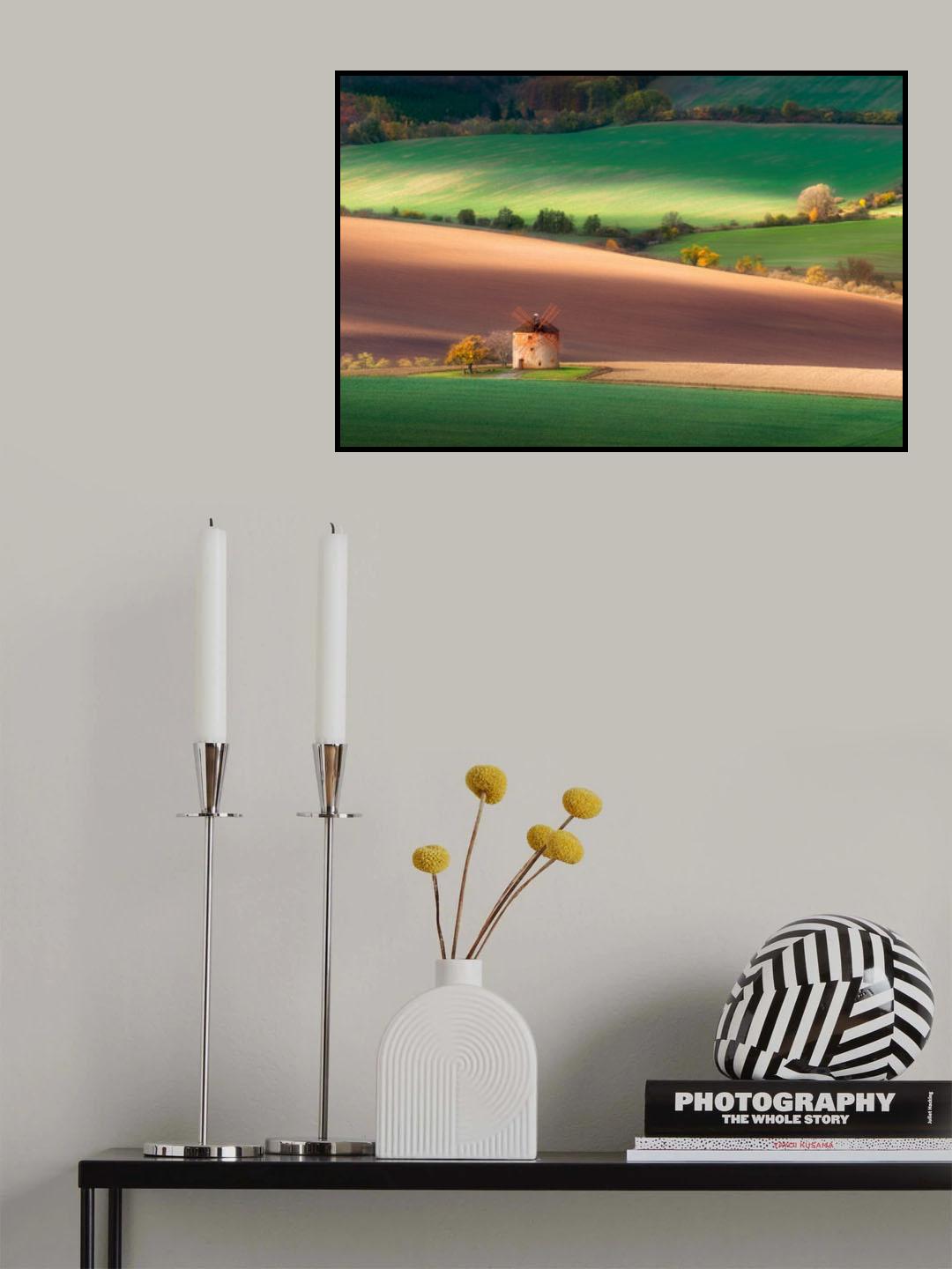 Touch of the sun Poster och Canvastavla