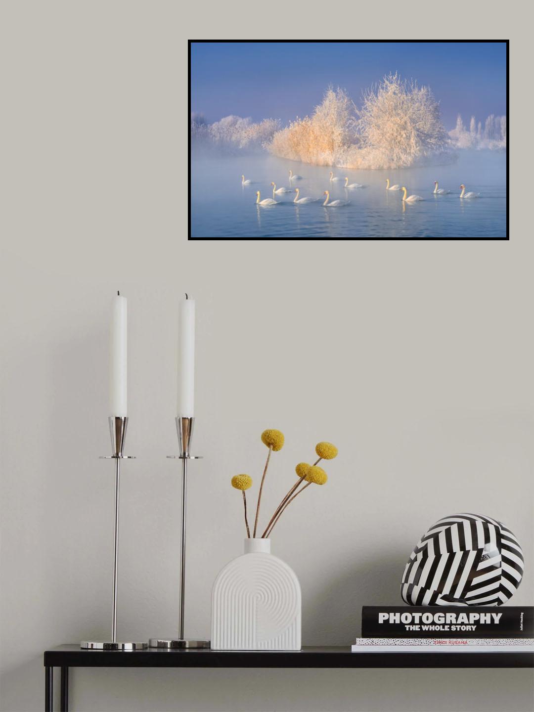 Swan Lake Poster och Canvastavla