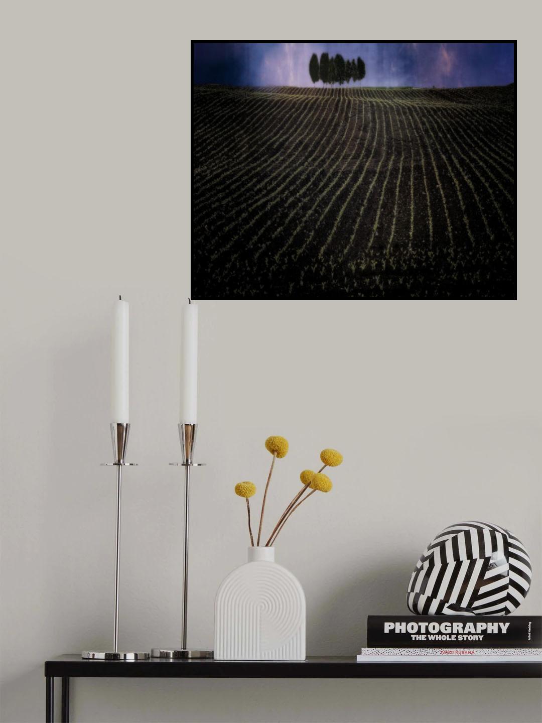 fields in early spring Poster och Canvastavla