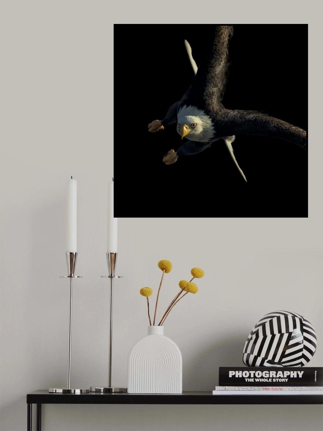 Diving Poster och Canvastavla