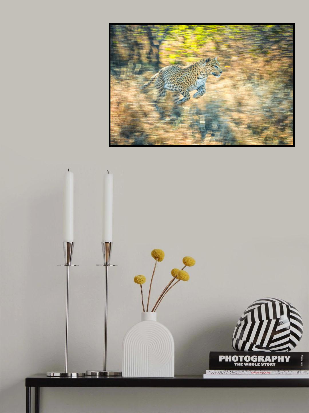Panning leopard Poster och Canvastavla