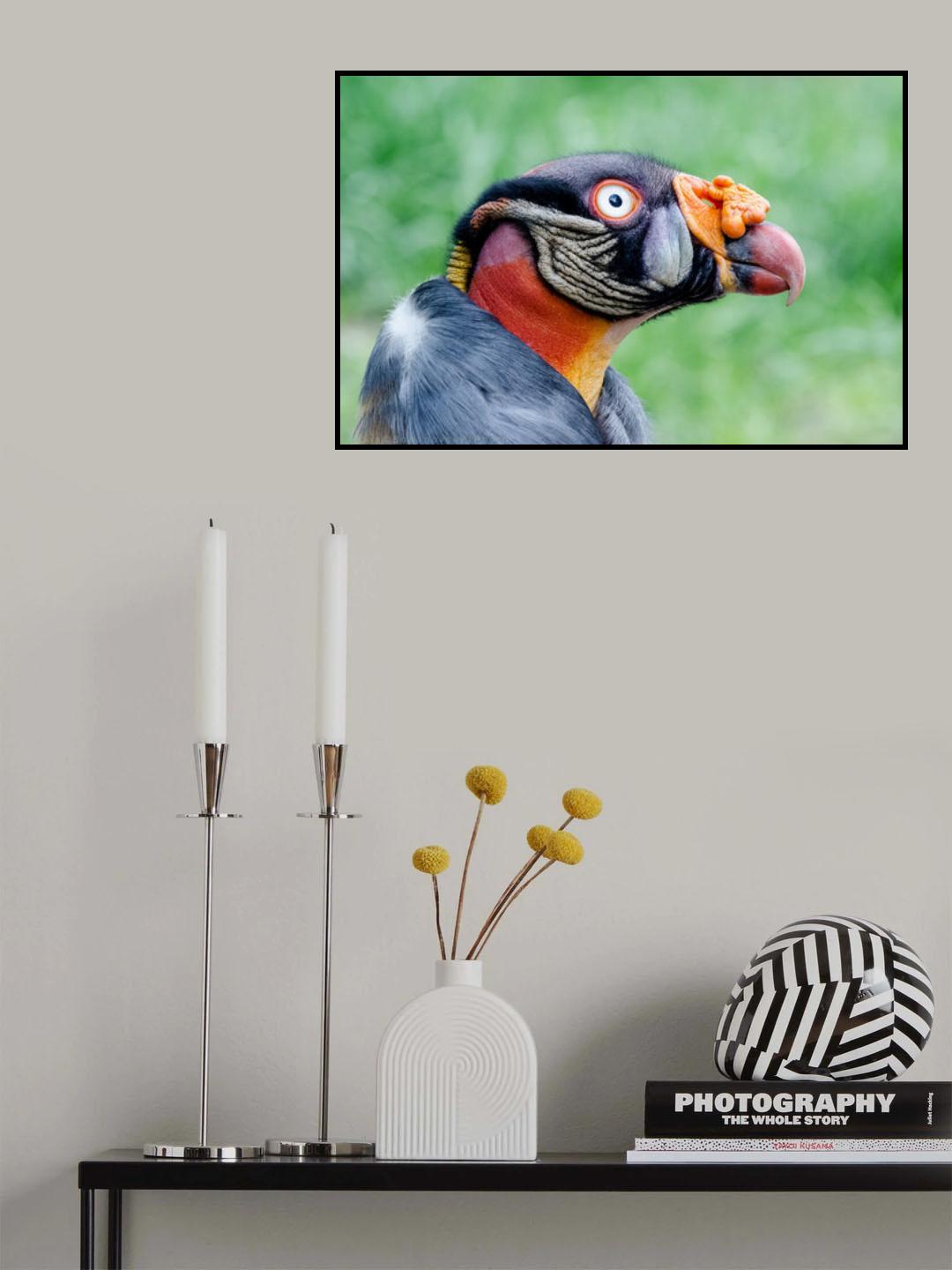 Fur Collar Poster och Canvastavla