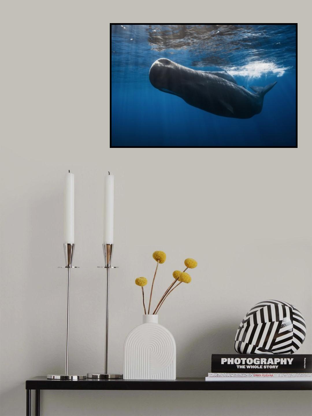 Sperm whale Poster och Canvastavla