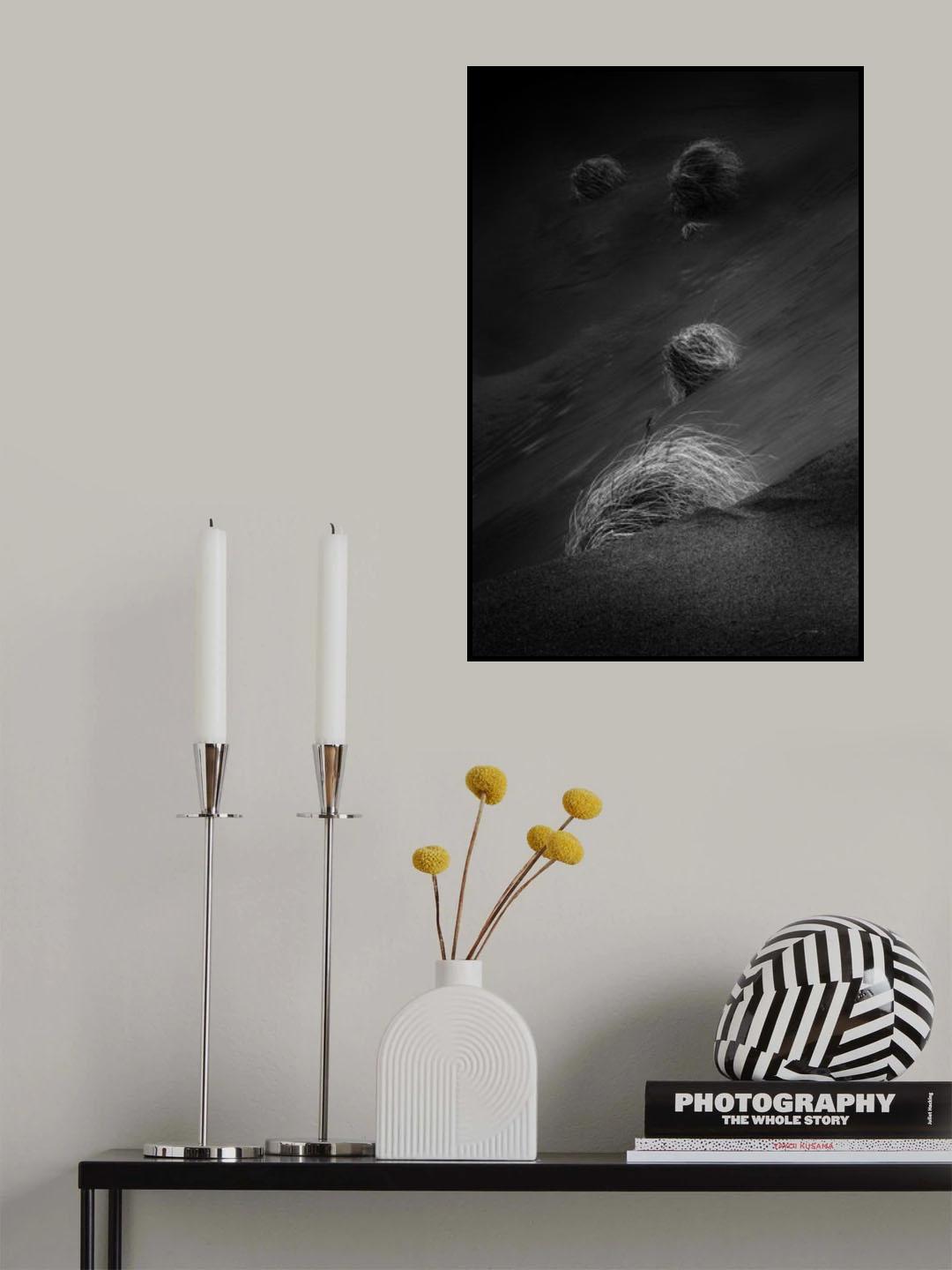 .....dry grass..... Poster och Canvastavla