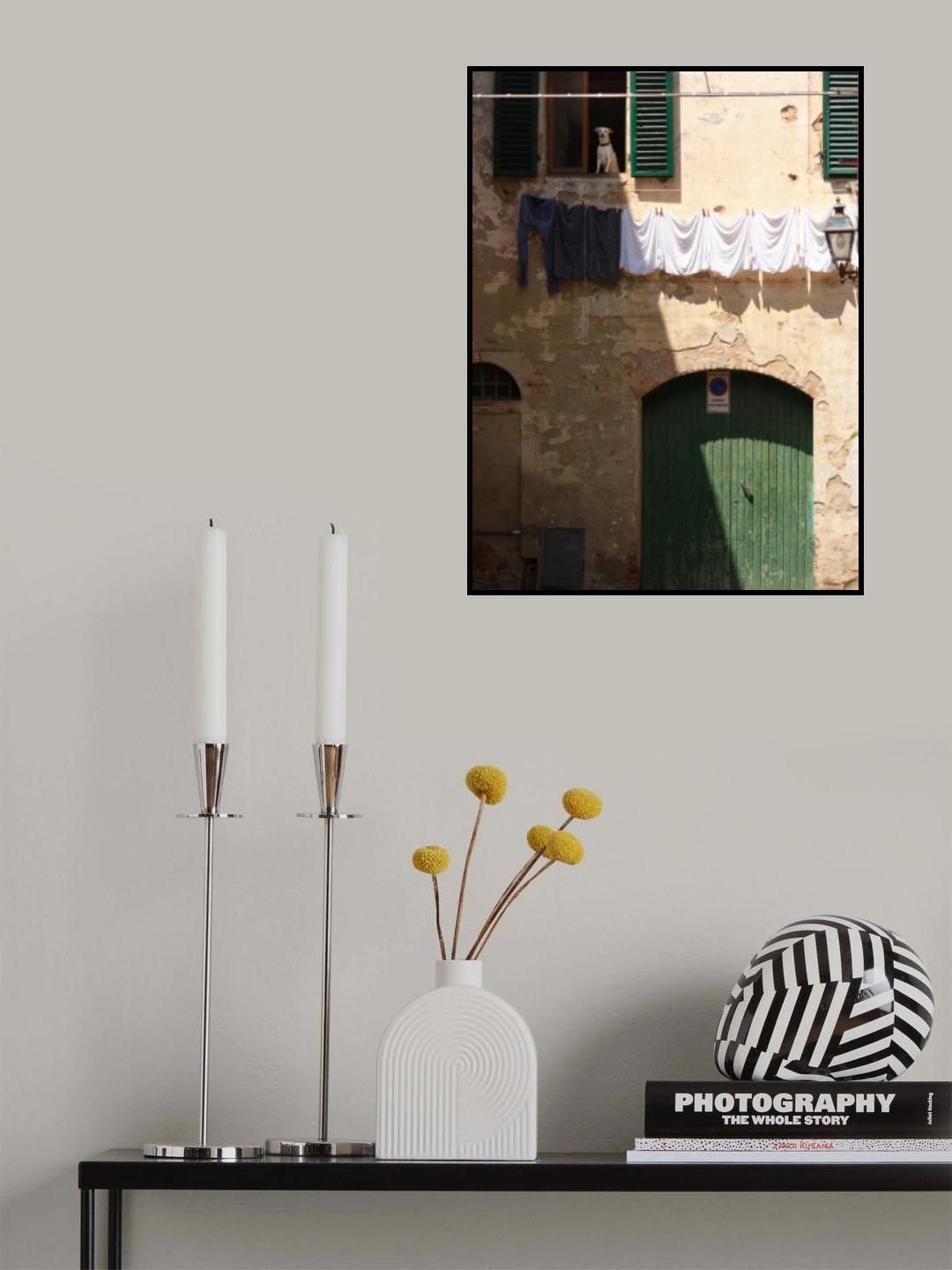 Affacciati alla finestra Poster och Canvastavla