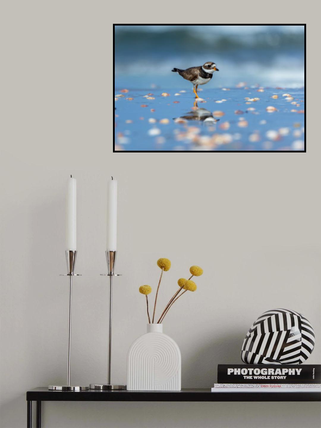 Sea of seashells Poster och Canvastavla