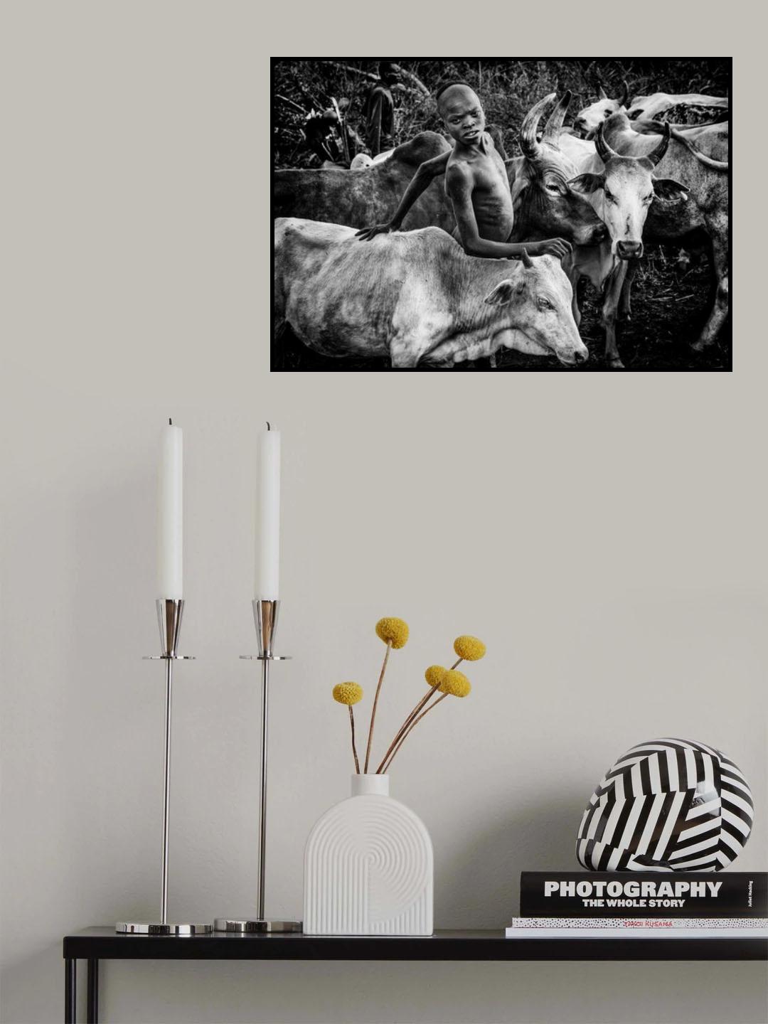 Surma tribe people taking care of the cattle-I Ethiopia Poster och Canvastavla
