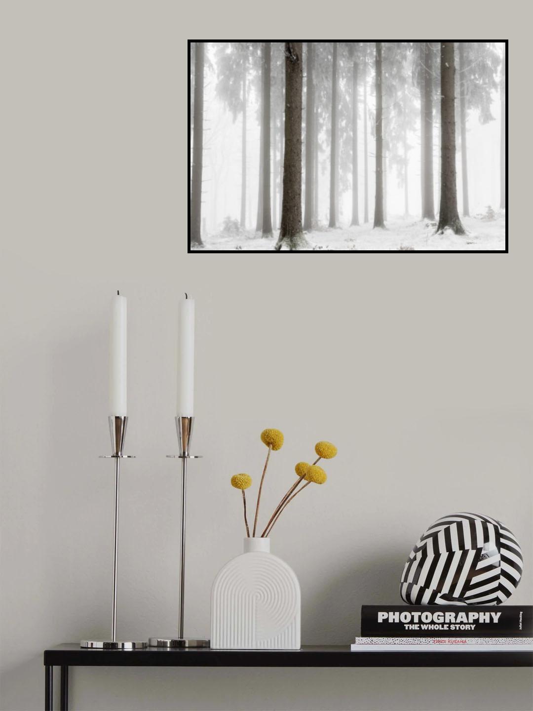Winter Forest Poster och Canvastavla