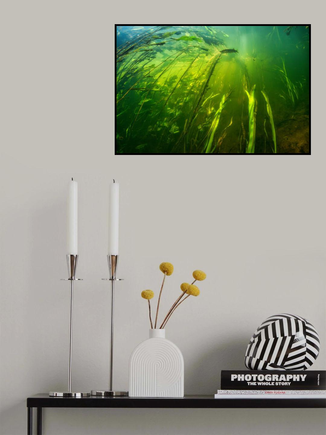 River world Poster och Canvastavla