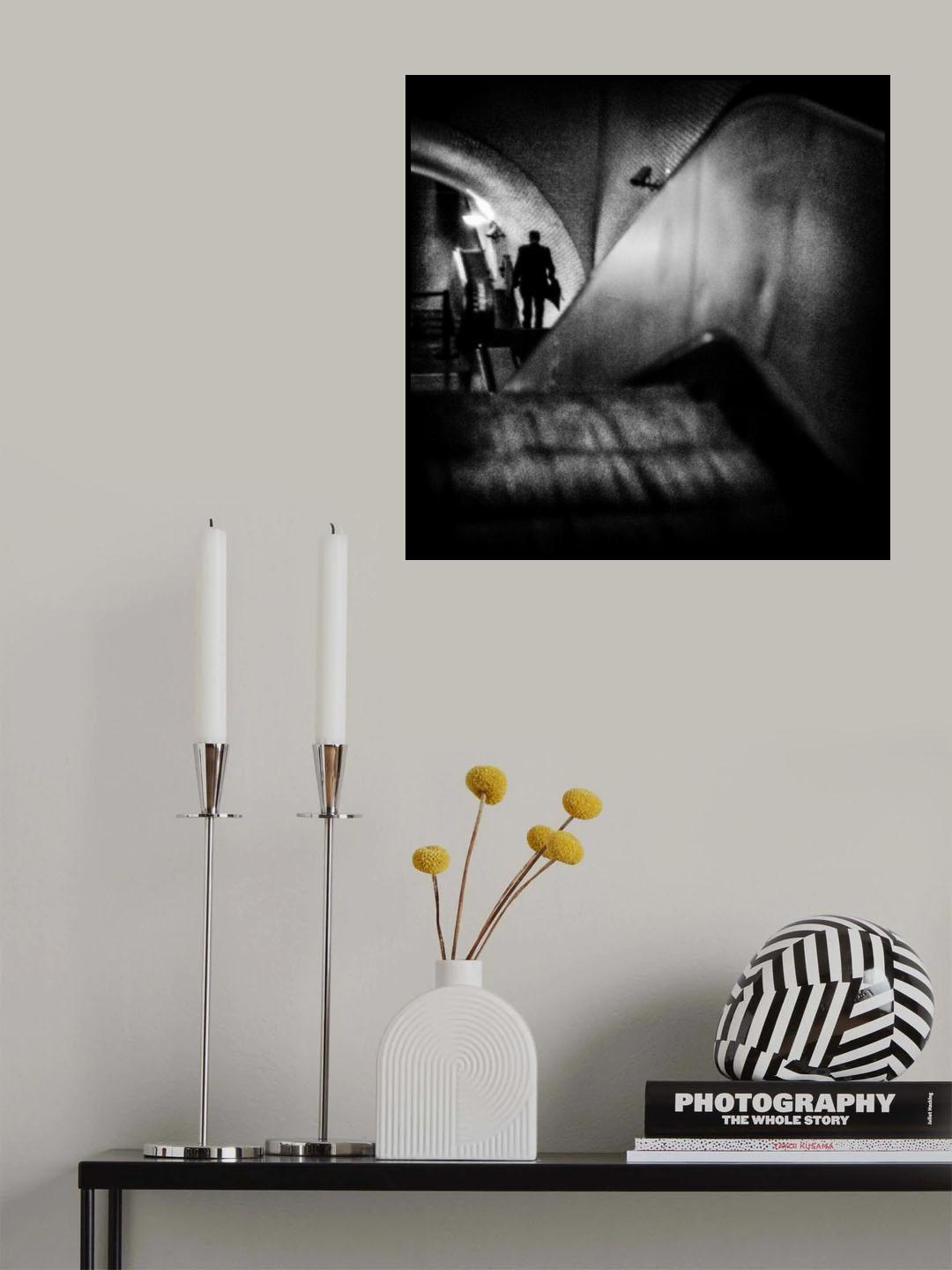 The Lonely Night Poster och Canvastavla