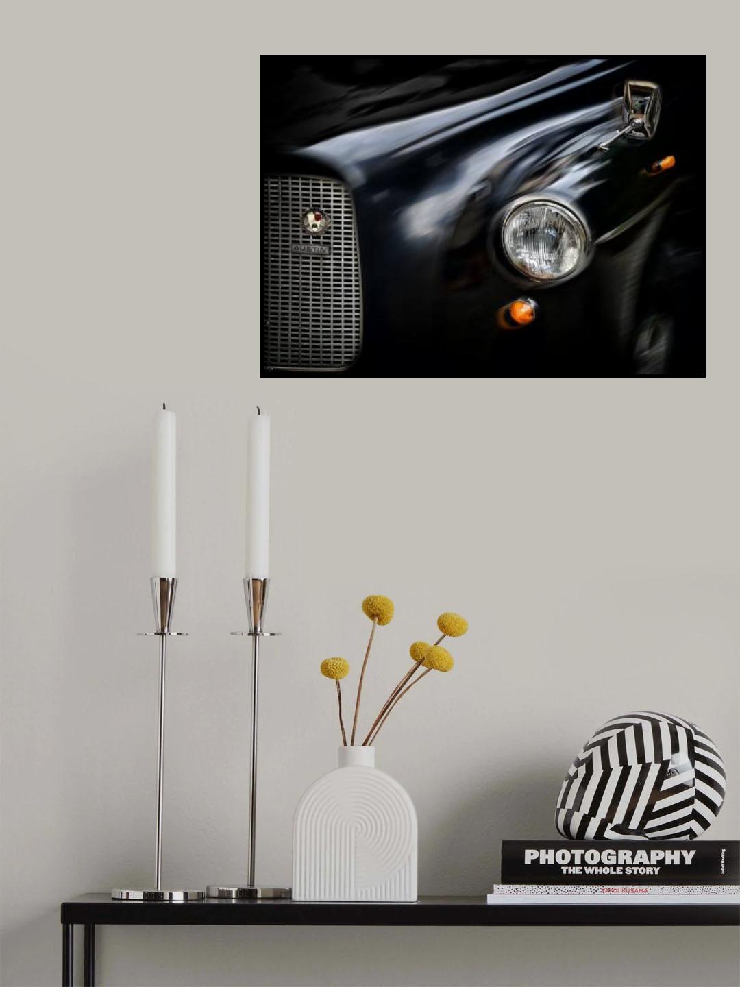 Past speeds Poster och Canvastavla