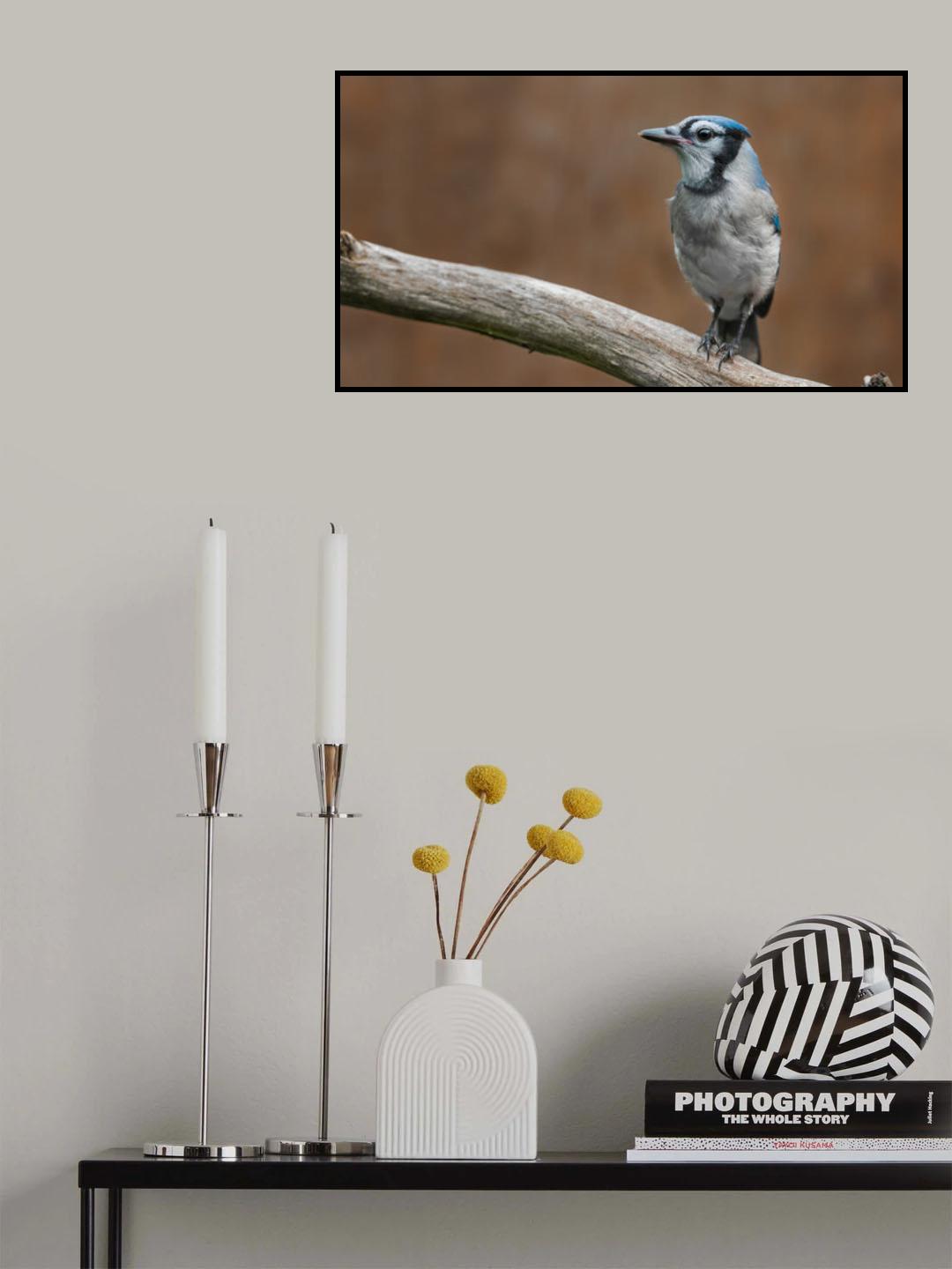 Jr. Poster och Canvastavla