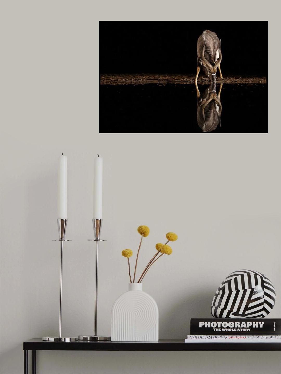Poster och Canvastavla