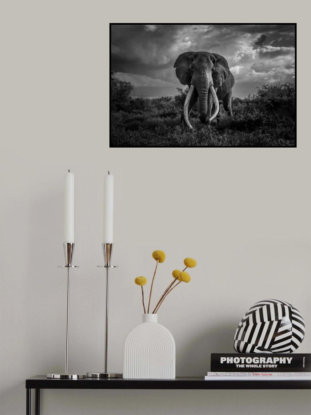 Old Graig Poster och Canvastavla