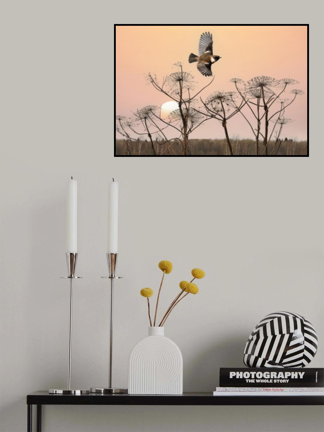 Common Stonechat in the field Poster och Canvastavla