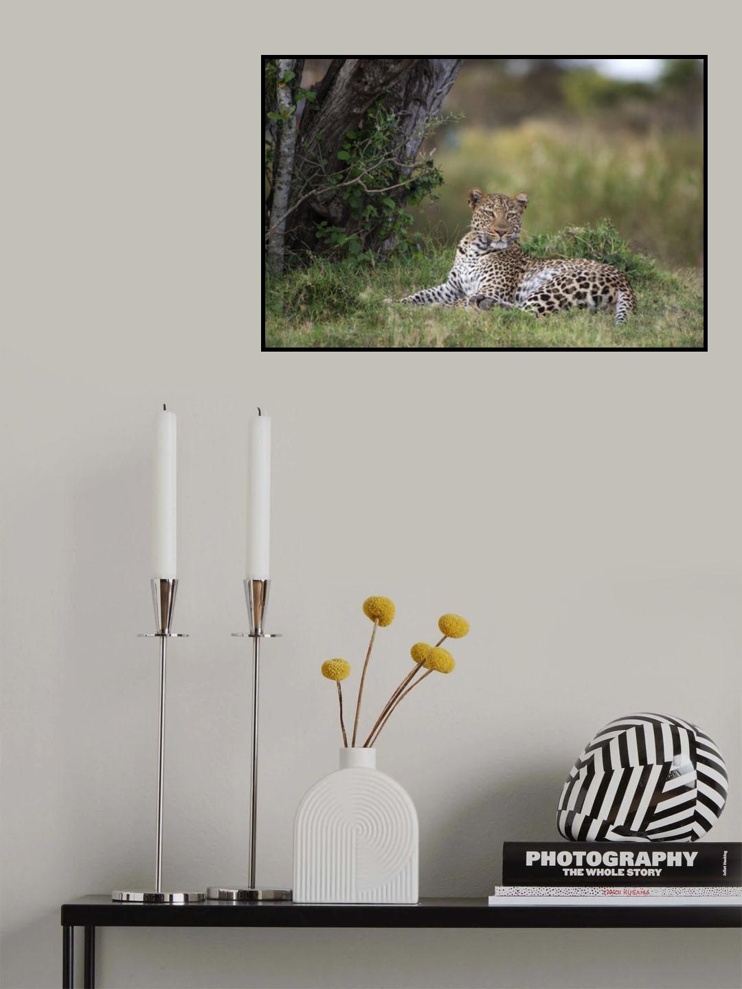 Keeping a Watch Poster och Canvastavla