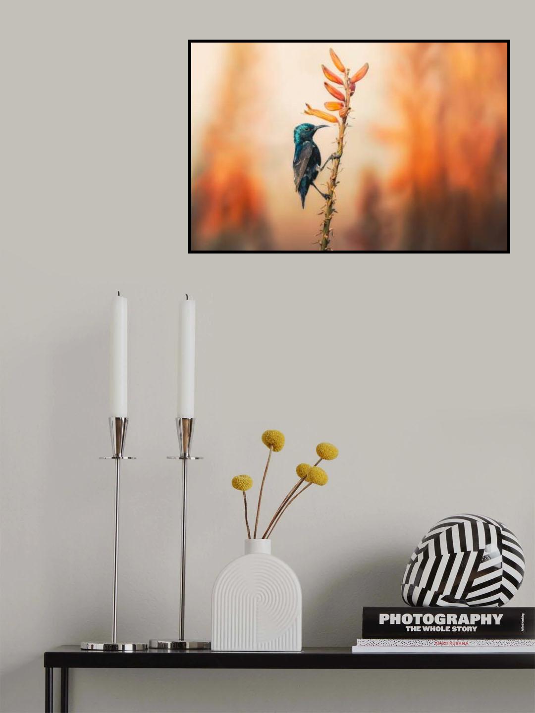 Purple Sunbird Poster och Canvastavla