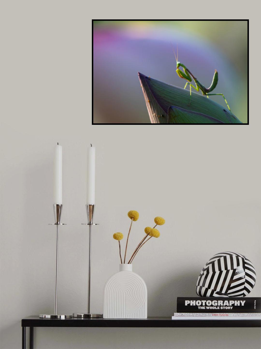 Mantis Poster och Canvastavla