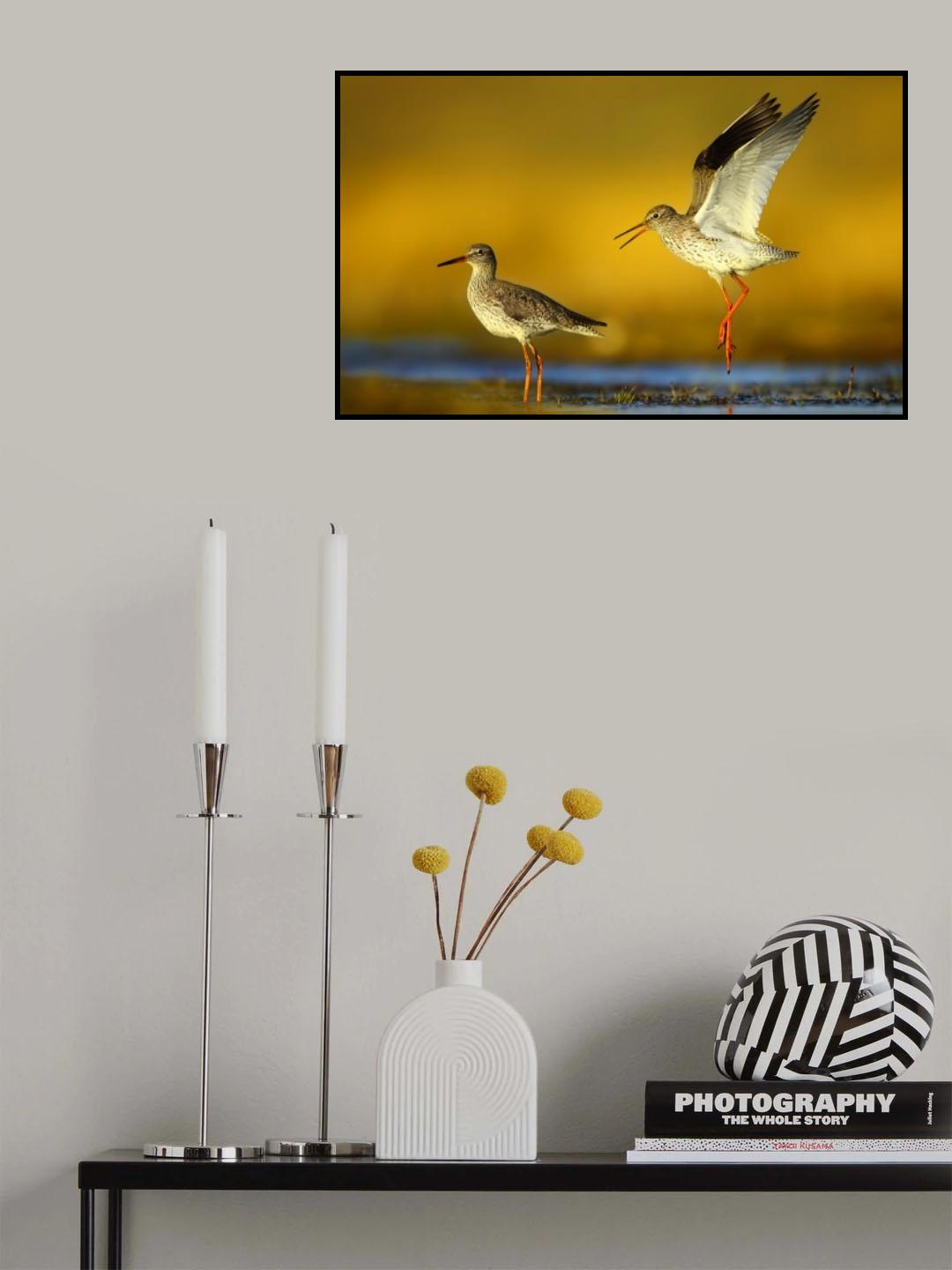 dance with me ? Poster och Canvastavla