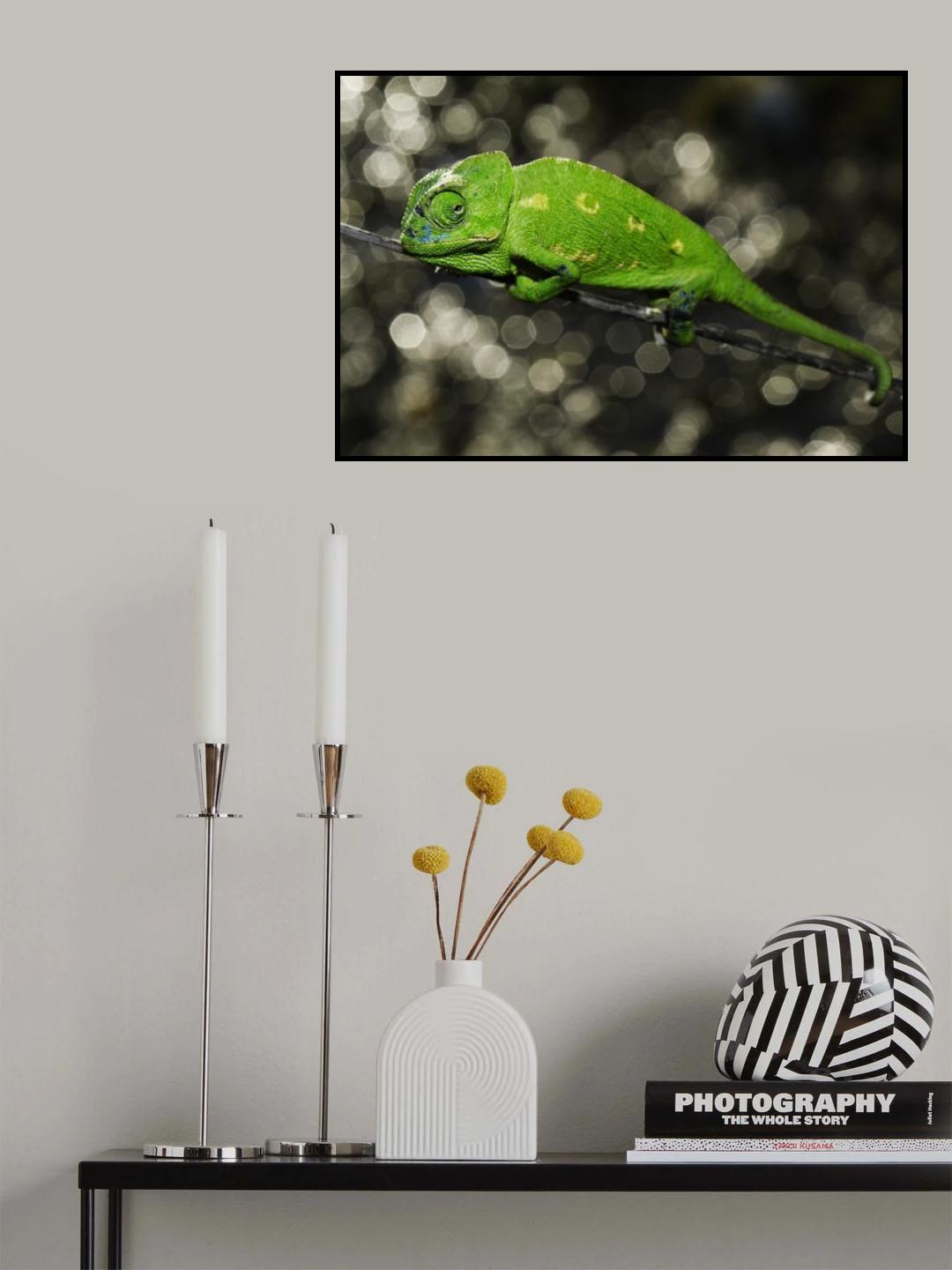 CHAMELEON Poster och Canvastavla