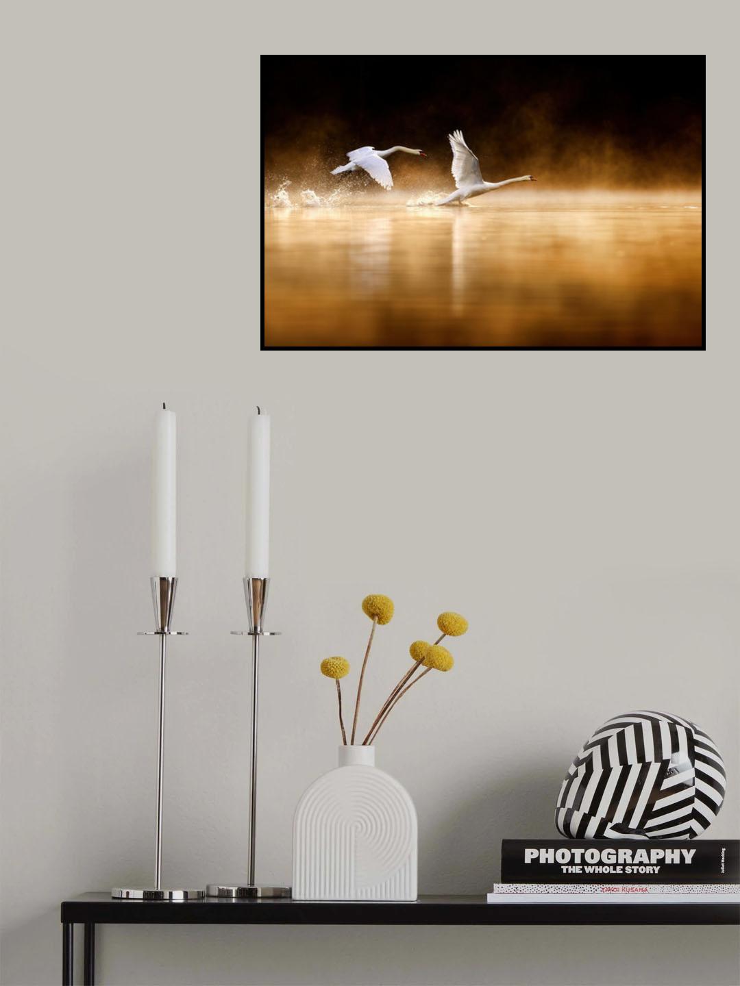Taking off on fire Poster och Canvastavla