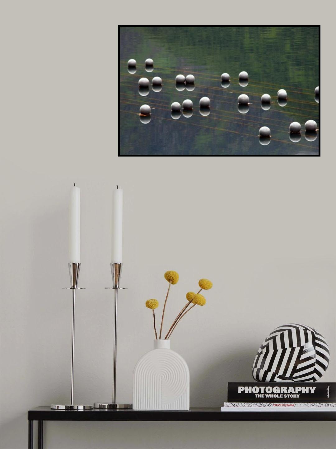 Balls Poster och Canvastavla
