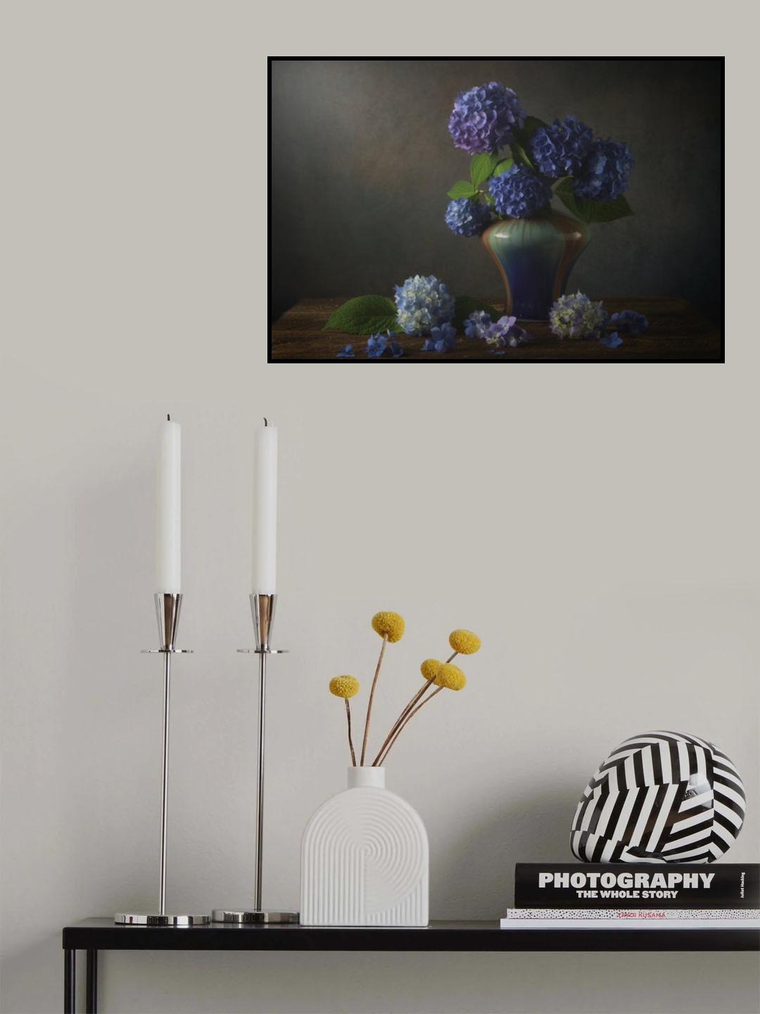 Hydrangea Poster och Canvastavla