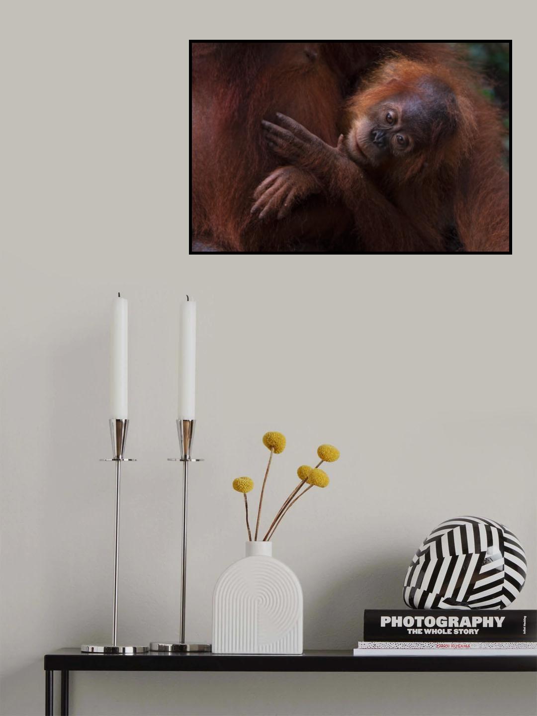 Thinking Poster och Canvastavla
