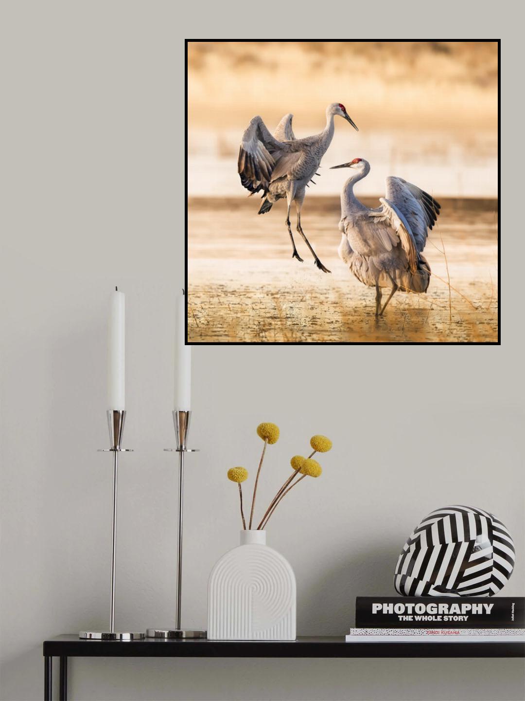 Let's jump Poster och Canvastavla