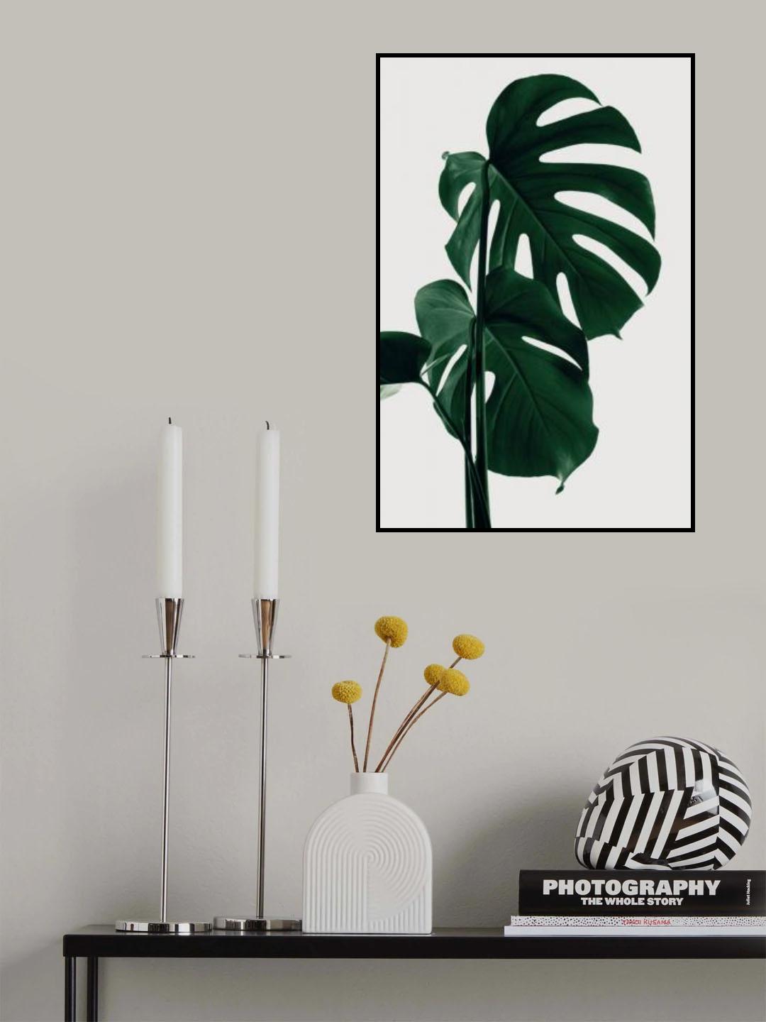 Monstera Natural 28 Poster och Canvastavla