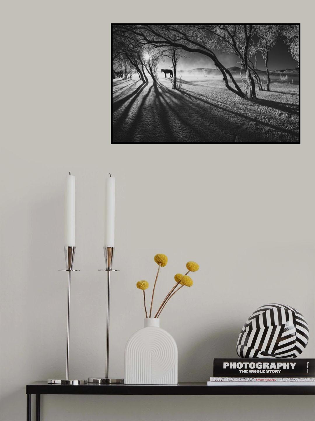 The woods Poster och Canvastavla