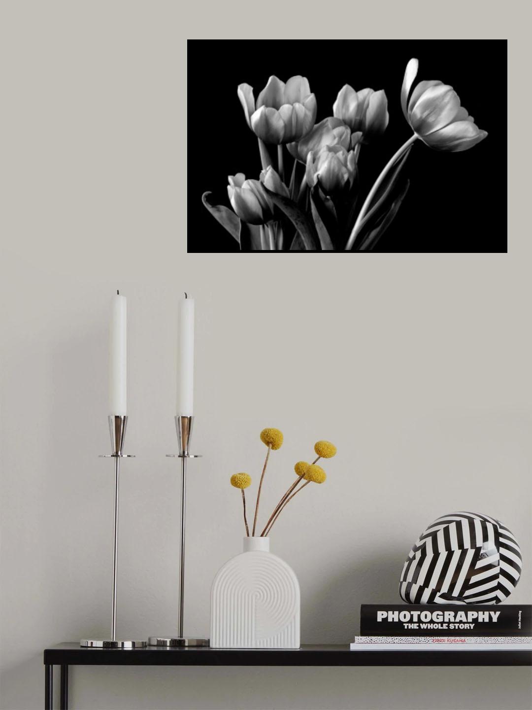 Tulip Poster och Canvastavla